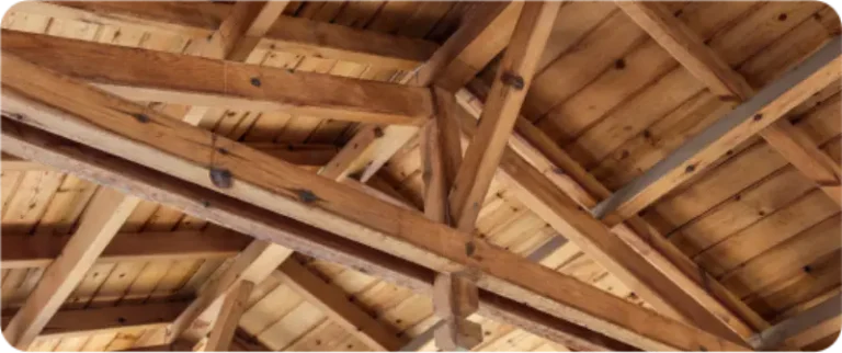 Rafter Trusses from below